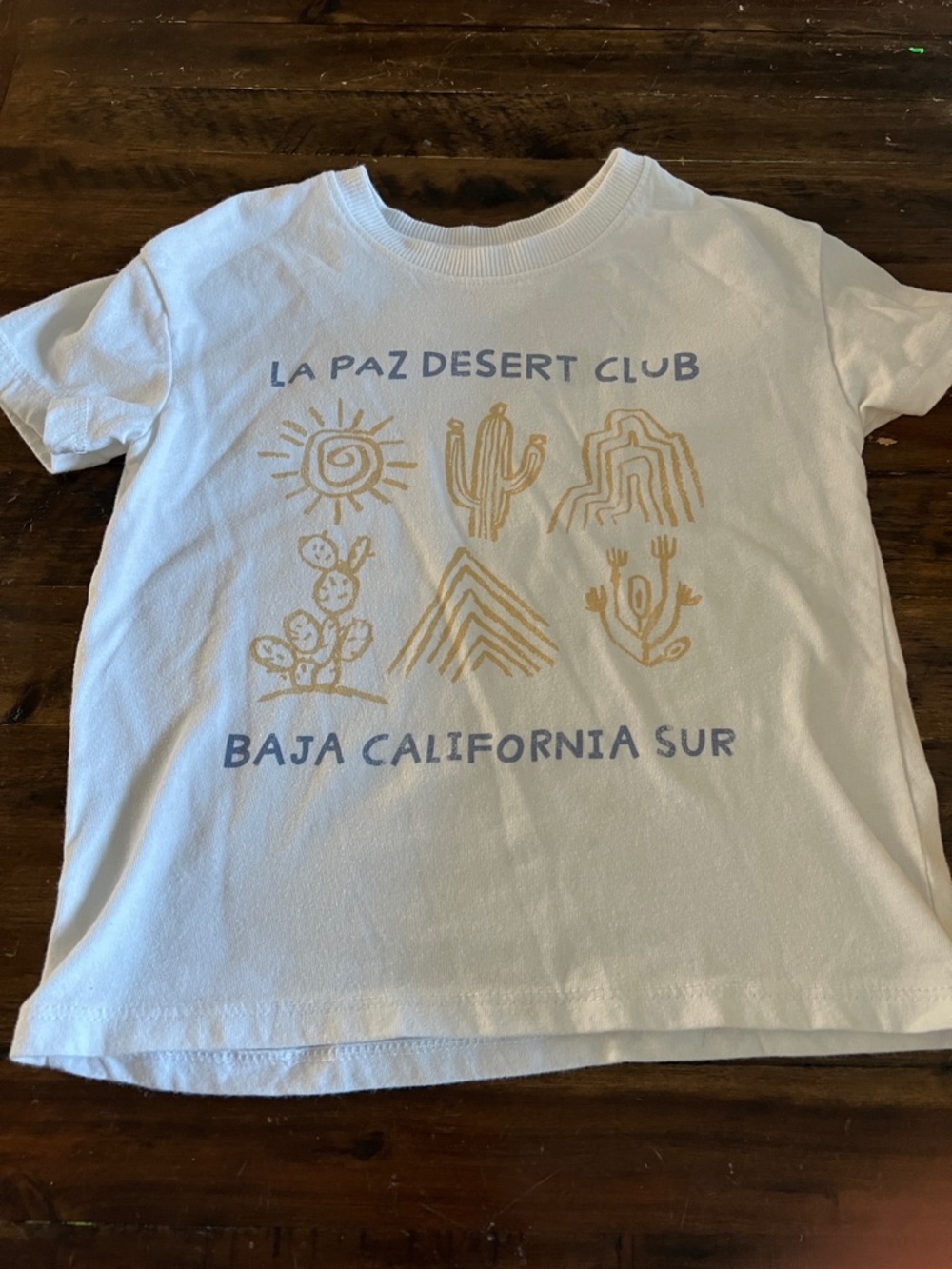 La Paz Desert Club Kids Graphic Tee - White with Tan & Blue Print